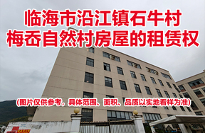 临海市沿江镇石牛村梅岙自然村房屋的租赁权